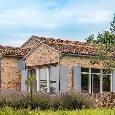 Tenuta Paljari Vižinada Екстериор снимка